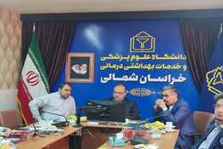 تأکید بر تدوین استراتژی جامع برای بین‌المللی‌سازی دانشگاه‌های علوم پزشکی
